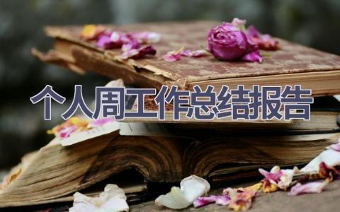 个人周工作总结报告范文(14篇）