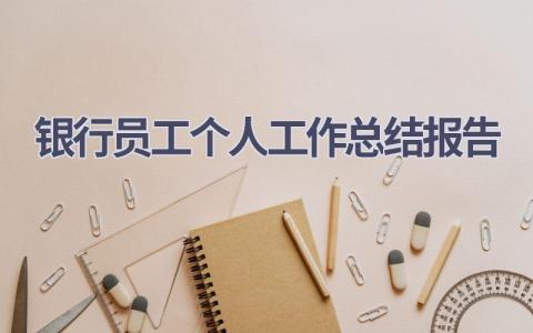 银行员工个人工作总结报告范文(19篇）