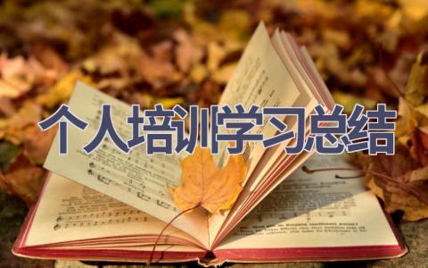 个人培训学习总结范文(14篇）