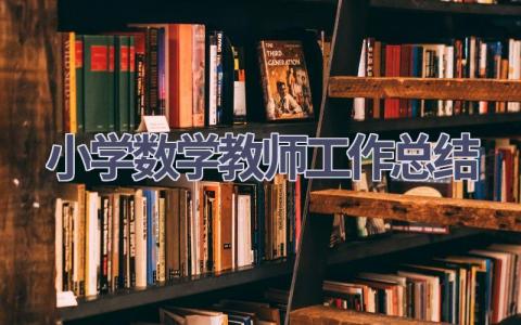 小学数学教师工作总结范文(19篇）