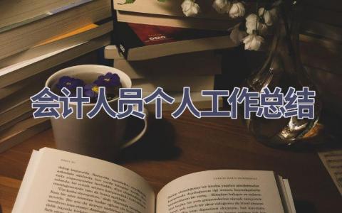 会计人员个人工作总结(11篇）