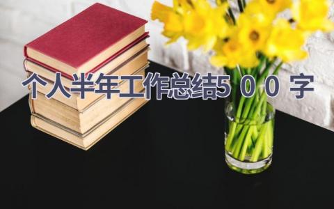 个人半年工作总结500字(15篇）