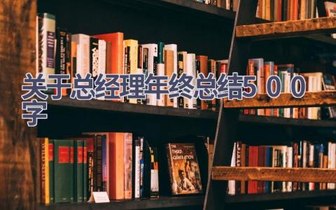 关于总经理年终总结500字(17篇）