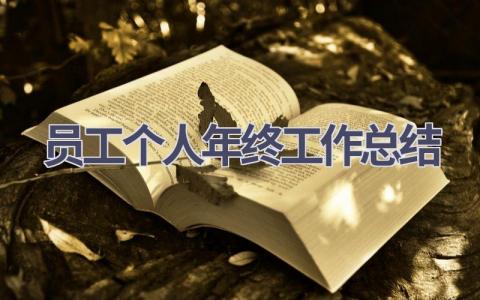 2023员工个人年终工作总结(10篇）