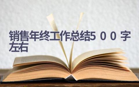 销售年终工作总结500字左右(13篇）