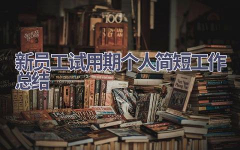 新员工试用期个人2023简短工作总结(6篇）