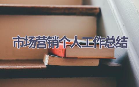 市场营销个人工作总结(11篇）