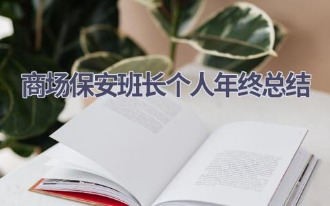 商场保安班长个人年终总结(6篇）