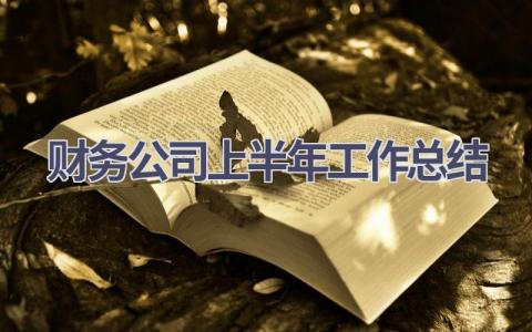 财务公司上半年工作总结(8篇）