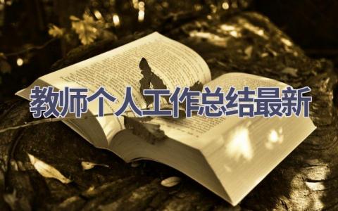 教师个人工作总结最新(17篇）