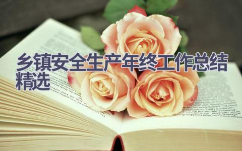乡镇安全生产年终工作总结精选(11篇）