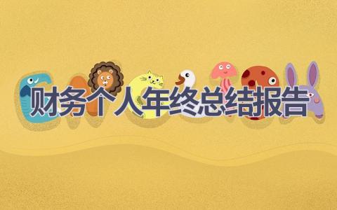 财务个人年终总结报告(11篇）