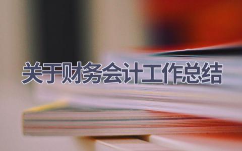 关于财务会计工作总结(14篇）