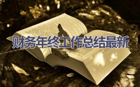 财务年终工作总结最新(16篇）