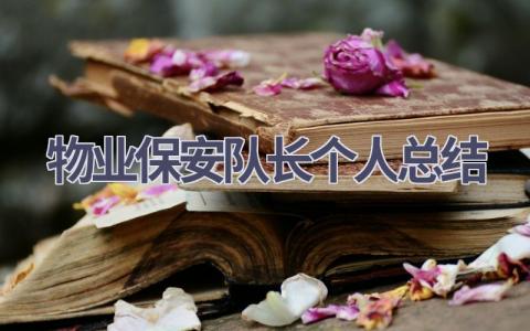 物业保安队长个人总结(7篇）