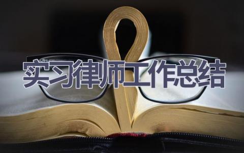 实习律师工作总结(14篇）