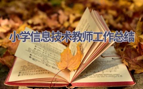小学信息技术教师工作总结(17篇）