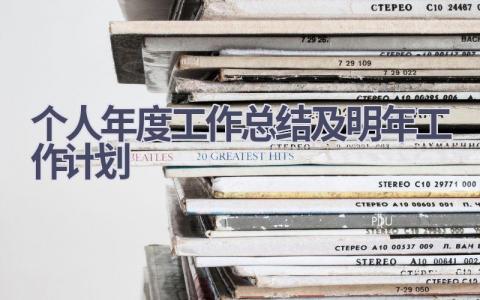 个人年度工作总结及明年工作计划(5篇）