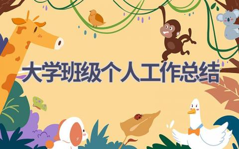 大学班级个人工作总结(11篇）