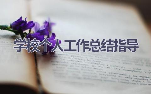 学校个人工作总结指导(15篇）