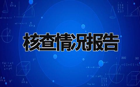 核查情况报告汇总 核查情况总结汇报精选范文