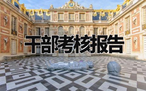 干部考核报告精选范文 干部考核总结汇报模板