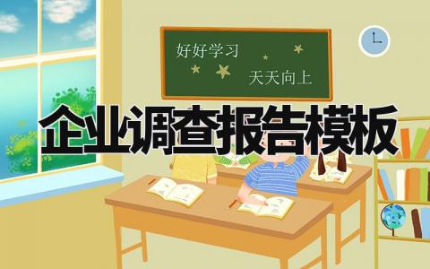 企业调查报告模板范本 企业调查报告模板通用