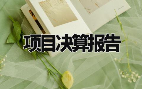 项目决算报告模板范文 项目决算报告范文精选