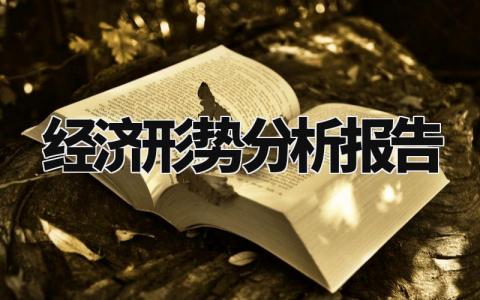 经济形势分析报告怎么写 经济形势分析报告模板