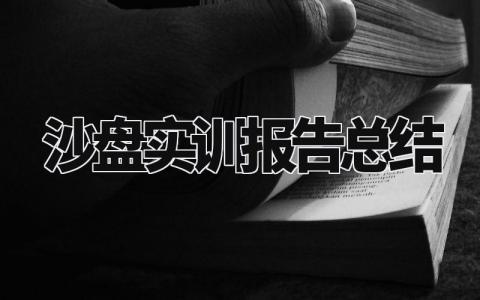 沙盘实训报告总结模板 沙盘实训报告总结范文