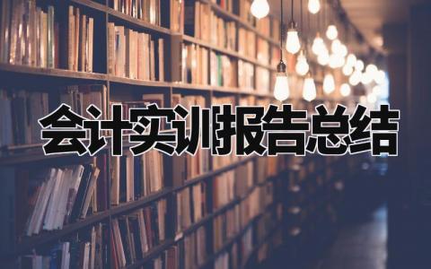 会计实训报告总结范文 会计实训报告总结3000字