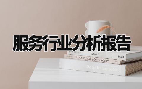 服务行业分析报告范文 服务行业分析报告怎么写