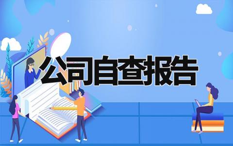 公司自查报告模板范文 公司自查报告怎么写