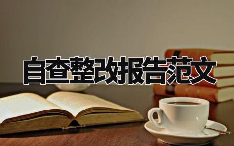 自查整改报告范文模板 自查整改报告范文怎么写