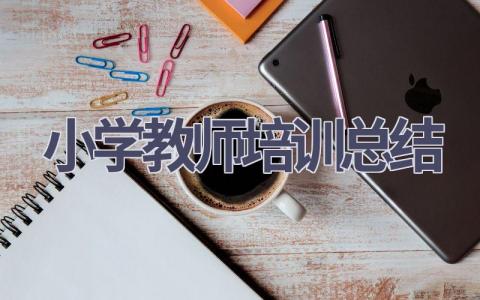 小学教师培训总结(20篇）