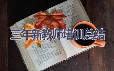 三年新教师培训总结(5篇）