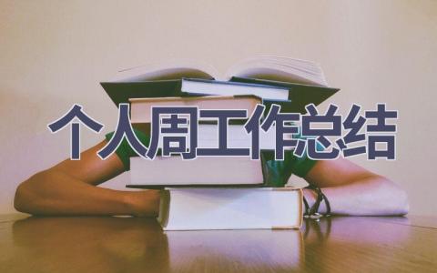 个人周工作总结(19篇）