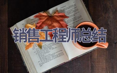 销售工程师总结(17篇）