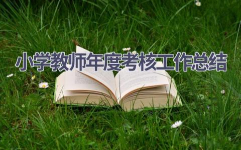 小学教师2024年度考核工作总结(17篇）