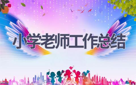 2024小学老师工作总结(16篇）