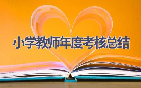 2024小学教师年度考核总结(16篇）