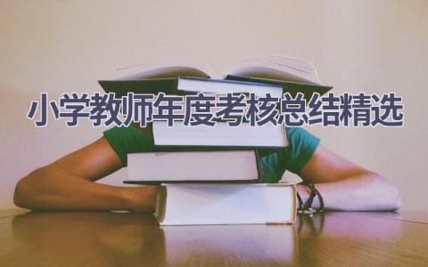 小学教师年度考核总结精选(15篇）