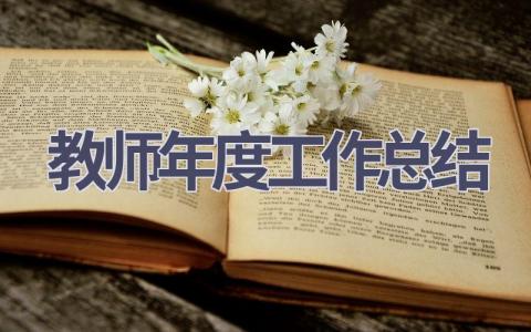 教师年度工作总结2024(17篇）