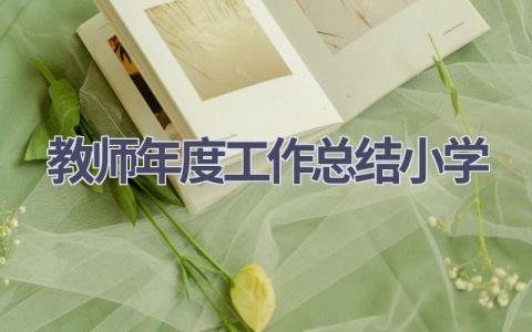 教师年度工作总结小学(14篇）