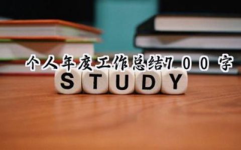 个人年度工作总结700字(20篇）