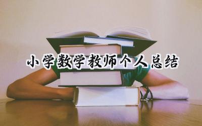 小学数学教师个人总结(17篇）
