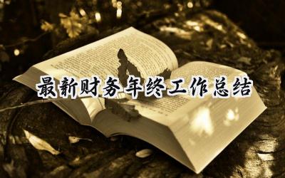 最新财务年终工作总结(10篇）