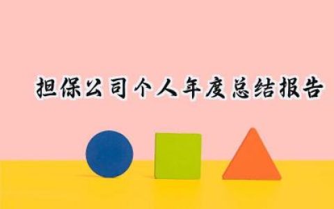 担保公司个人年度总结报告(10篇）