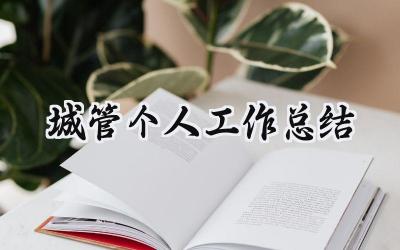 城管个人工作总结(14篇）