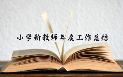 小学新教师年度工作总结(20篇）